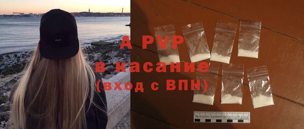 гидра Дмитров