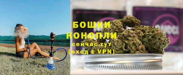 гидра Дмитров