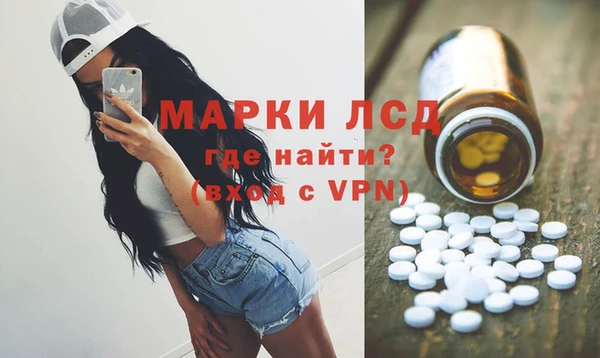 гидра Дмитров
